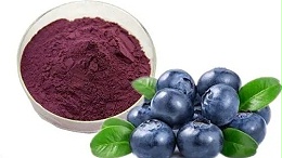 蓝莓粉的营养价值